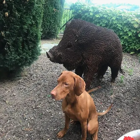 Giarvino Boutique 4*