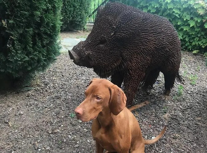 Giarvino Boutique 4*